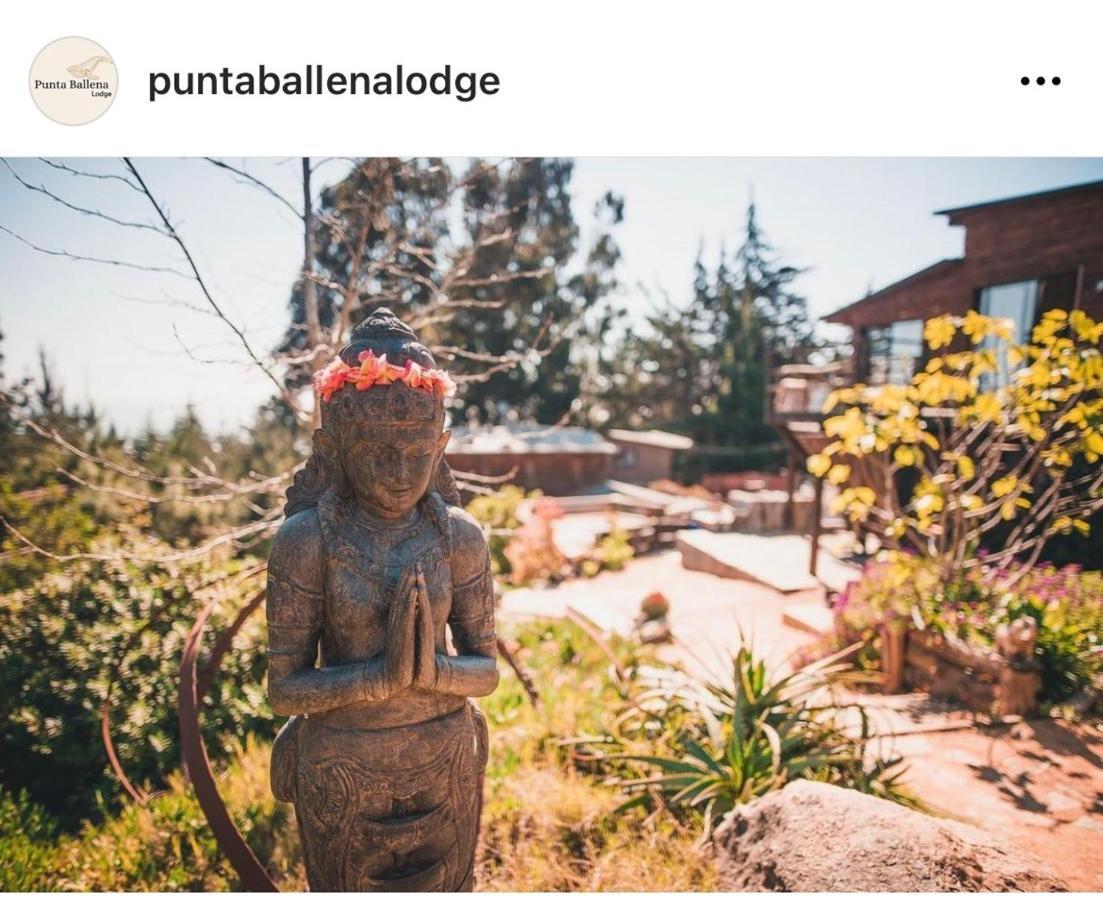 Alojamento Punta Ballena Pichilemu