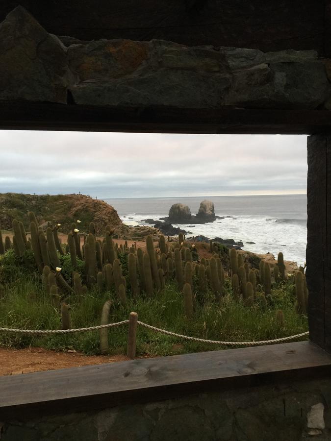 Punta Ballena Alojamento Pichilemu