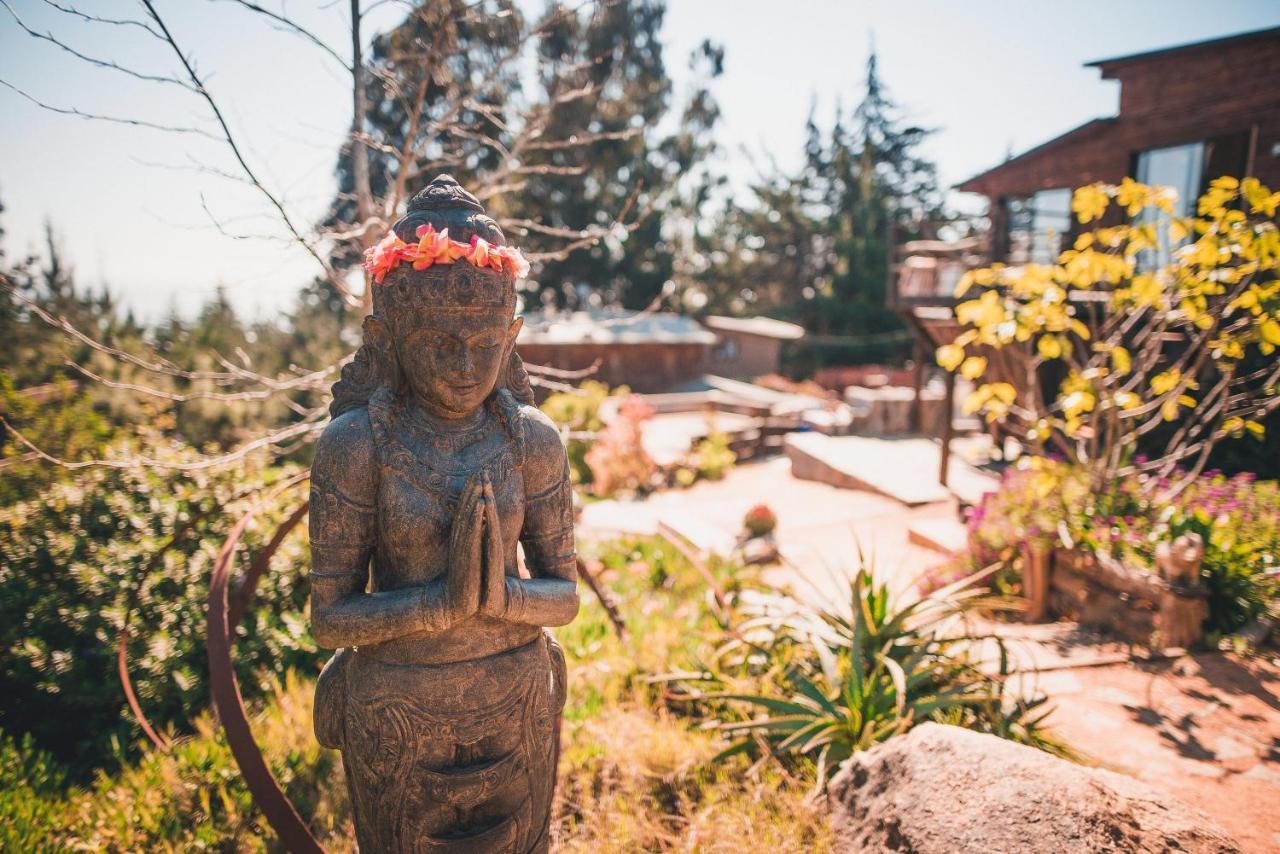 Punta Ballena Pichilemu